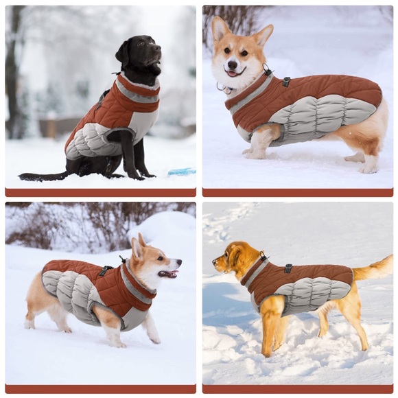 Dog Winter Jacket with Harness Built in - Picture 1 of 5